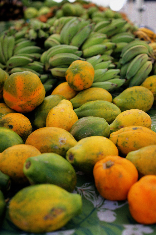 hawaiiancoconut: Papayas and bananas, farmer’s market, Oahu. 