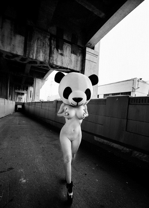 luvtoy001:  What’s not to love here !lol