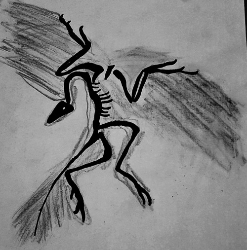 a lil archeopteryx