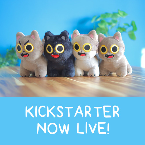 ✨Our Super Plush Cat Kickstarter is now live…and the plush cats seem to have managed to escap