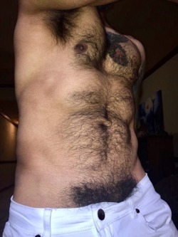 lovemalepubichair.tumblr.com post 170726035402