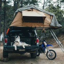 theadventurouslife4us:#camping , The perfect camping set up | 📸 Dylan Furst    I want one of these rack tents for my Toyota 