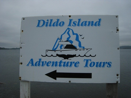 roachpatrol:  niknak79:  The best adventures you will ever have  ok let’s go 