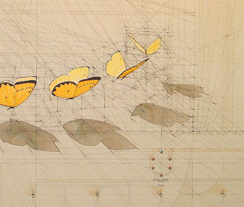 Complex Works Of The Venezuelan Artist Rafael Araujo