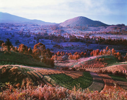 haemos:Richard Mosse, You Are Wherever Your Thoughts Are, North Kivu, Eastern Congo