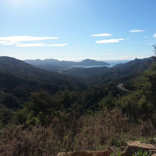 Near the tippy top of the Coromandal on a ridiculously dangerous gravel road.