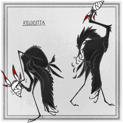 kelocitta: weird itchy birds