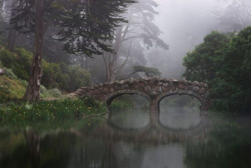 90377: A Foggy Stow Lake Bridge by Derek Quessenberry