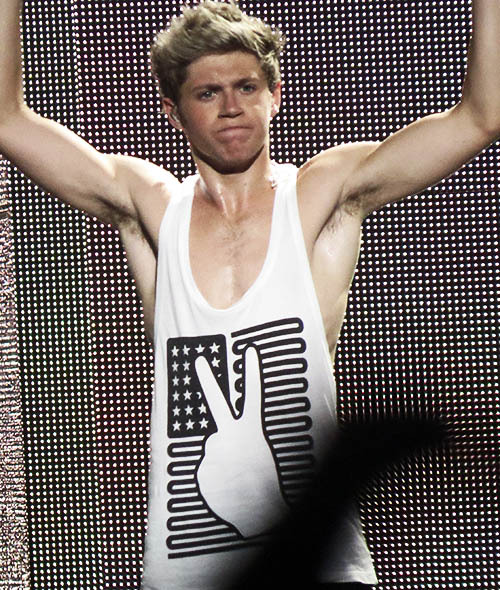 banginghoranbang:   hello nialls armpits     Read More
