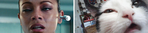 commanderflowers:  tothestartrek:  I don’t know why but I felt absolutely compelled to make th