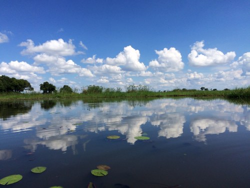 trailthesun:Making my way through the Okavango Delta | Trail the SunSee and read the full journey he