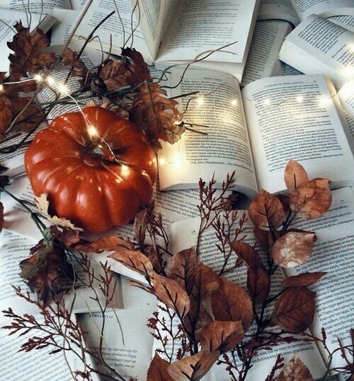cozyinautumn: October 1st Autumn Mood Board
