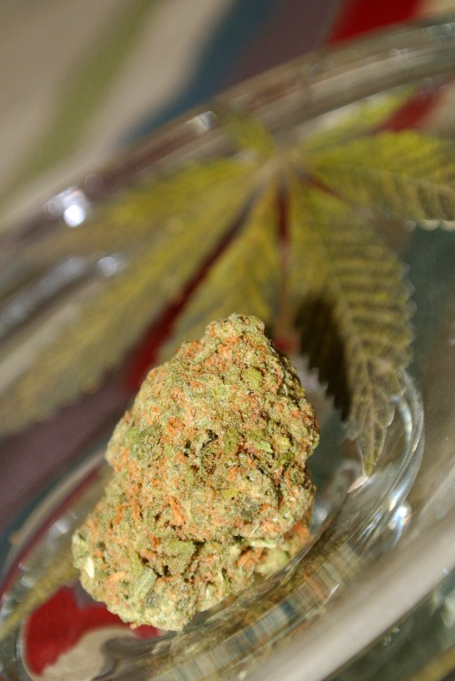 Stay lifted