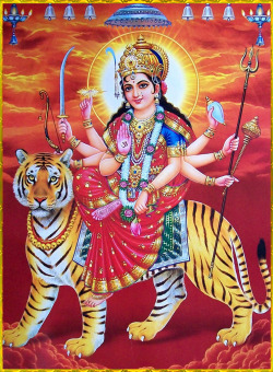 shivaom:  DURGA DEVI ॐ