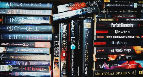 nl93:  rainbow bookshelves // june 12, 2015 