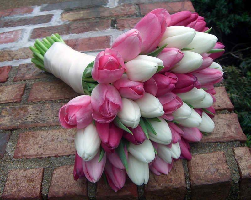 this-odd-in-me:   i would love to have some tulips &lt;3 🌷🌷🌷  