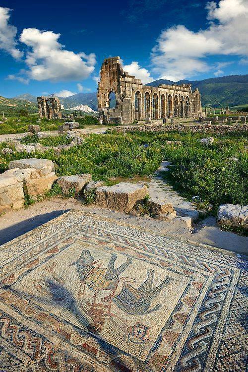 ancientorigins:Beautiful Roman mosaic in the House of the Athlete, Morroco