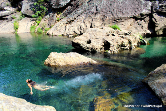 Wild Skinny-dipping in Portugal