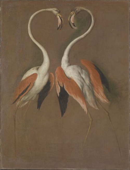 Two Flamingos Face to Face, 1692-1693, oil on canvasFrançois Desportes (1661-1743)Sèvres, Cité de la