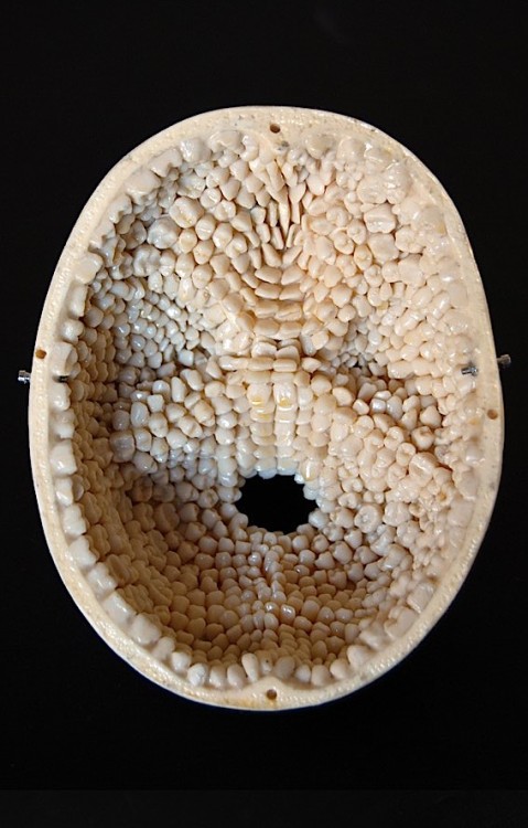 myampgoesto11:  Jessica Harrison: Self Portrait, 2008 