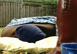 verymuchsoyes:Pay attention to meeee