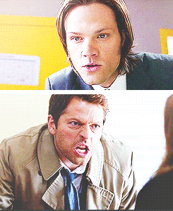 bellahunt:  Team Free Bad Cops 