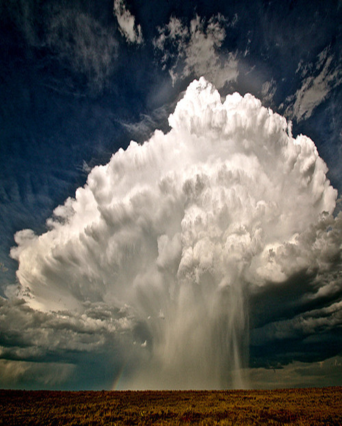 shipwreckedinsc:  I set out to discover the why of it, and to transform my pleasure