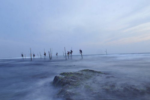 Sri Lanka.