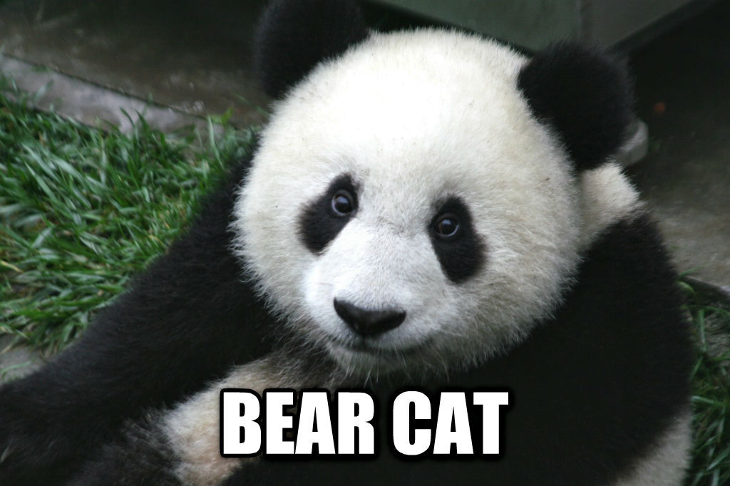 tastefullyoffensive:  Chinese Words for Animals Translated to English (photos via