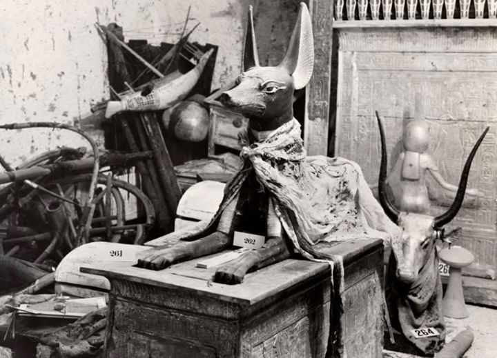 starxgoddess: The actual Anubis statue excavated from the tomb of Tutankhamun (Howard
