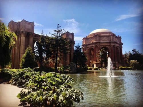 at Palace of Fine Arts Theatre adult photos