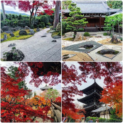 ＼おにわさん更新情報／ ‪[ 京都市左京区 ] 真如堂庭園 Shinyodo Temple Garden, Kyoto の写真・記事を更新しました。 ーー紅葉の名所に作られた2つの #枯山水庭園 ――