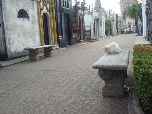 Photos from Cementerio de la Recoleta in Buenos Aires, Argentina 