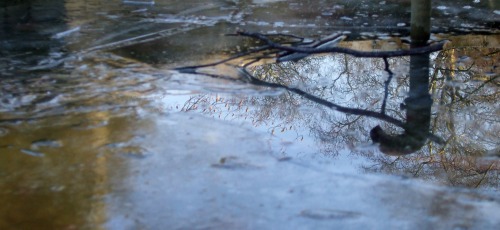 Finally, a glimpse of winter in London. (Wednesday 20 January.)