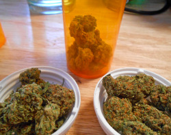 Always High, Never Dry