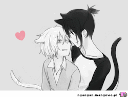 マ