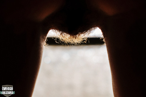 curiosa-obscura: hallway light follow us for more homemade nudie pics:) 