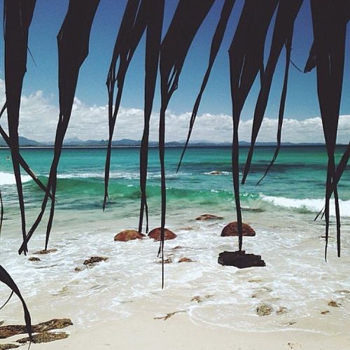 oceaniatropics: wategos beach, NSW, Australia, by tash oakley