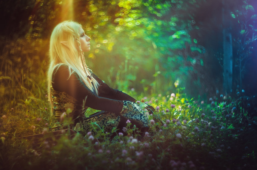 mirrorofthemagus:  The Clovers in the Fantasy Wood. Photos by Elena-NeriumOleander.