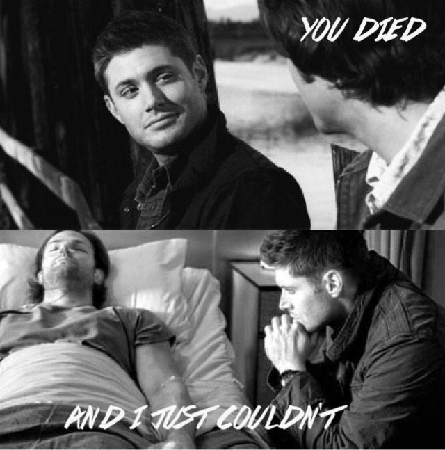 thebrotherwhocriedsammy:  Hello, yes I am the creator of sad things 