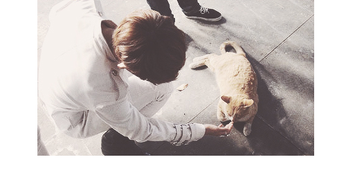 cheolyans:  Baekyeol touching Kittie’s nose 