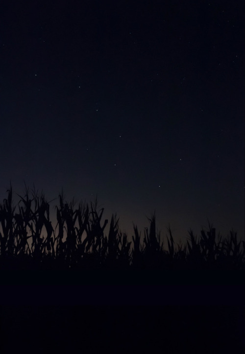 nevver:Through Darkness to Light, Jeanine Michna-Bales