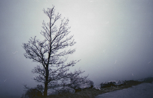 analoghe:Winter - Film da Alessandra PapagniPentax ME + Lomography Color Negative 400 + Epson V370