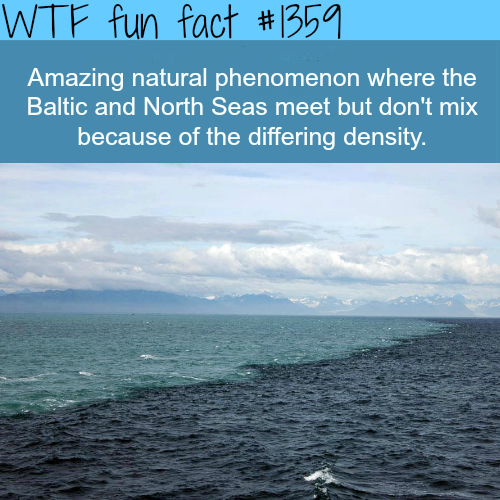 tumblr photo tales-of-a-clutsy-ninja 0