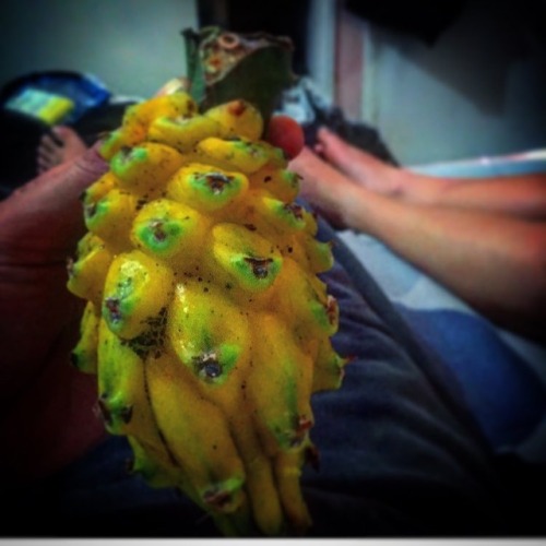 #tropicalfruit #colombia #pitaya