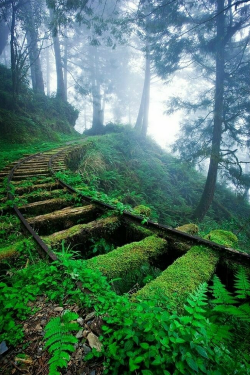 plasmatics-life:  Railway ~ By Руслан Муха