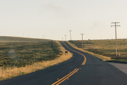 Point Reyes.InstagramVSCOgrid