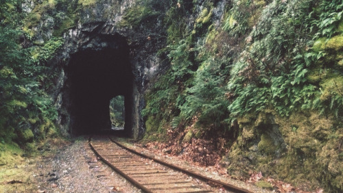 englishsnow:   Tyler Forest-Hauser 