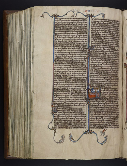 Winged donkey.Manuscript description and digital images can be found here at OPenn. Fol. 272v, Ms. C