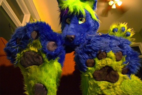 duke317:Here’s Odin and his fuzzy paws~ :3